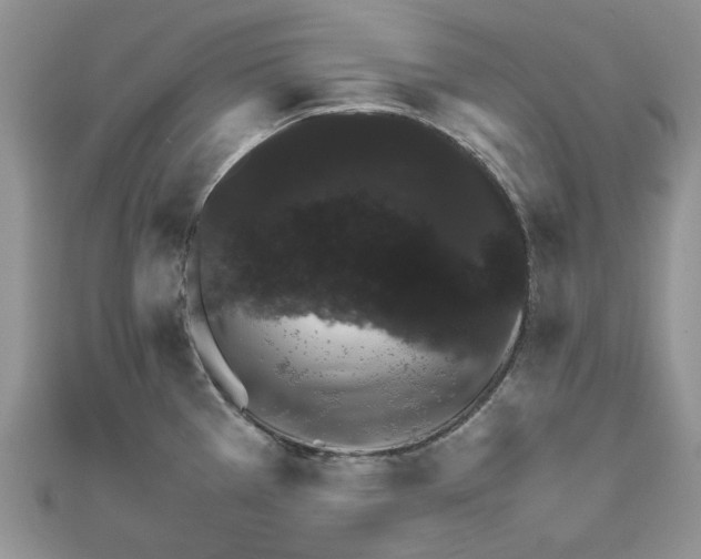 X0000111681385200907311210