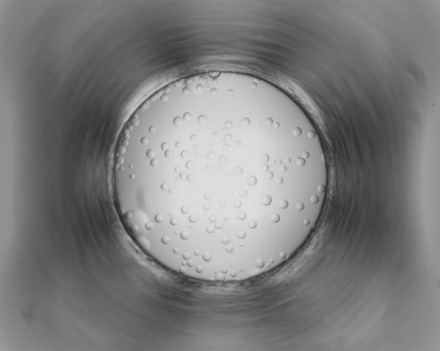 X0000111681386200907311210