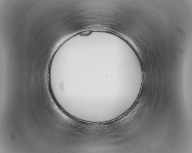 X0000111681387200907311210