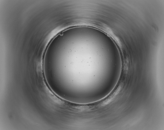 X0000111681388200907311210