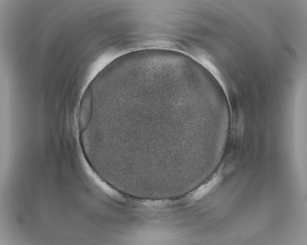 X0000111681389200907311210