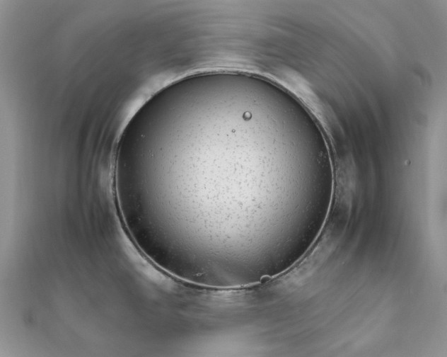 X0000111681390200907311210