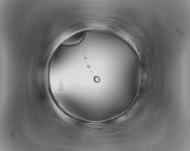 X0000111681391200907311210