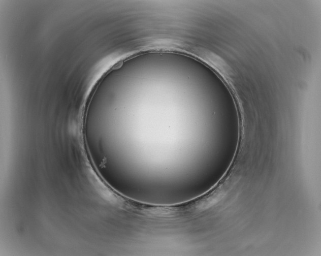 X0000111681392200907311210