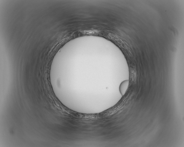 X0000111681393200907311210