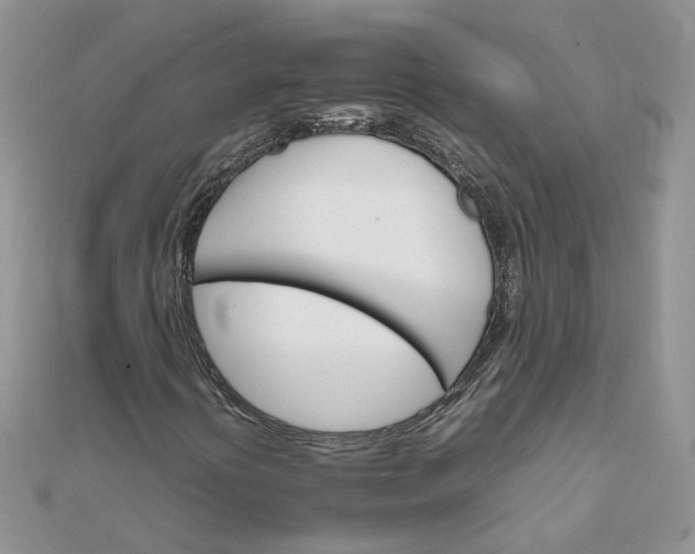 X0000111681394200907311210