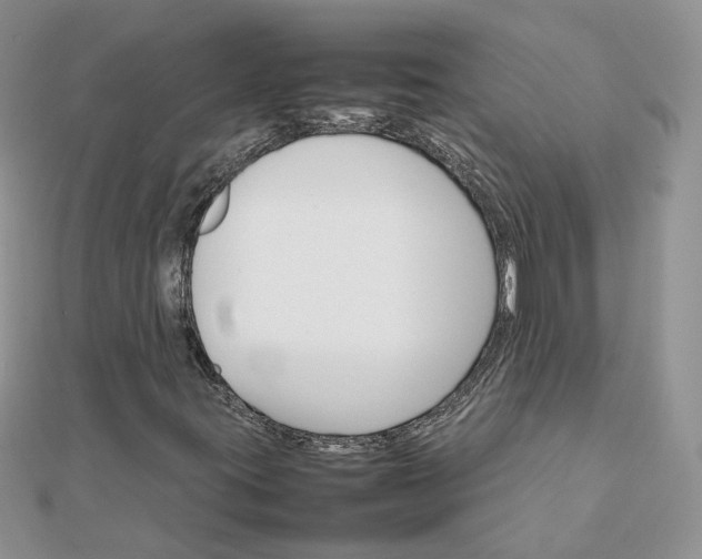 X0000111681395200907311210