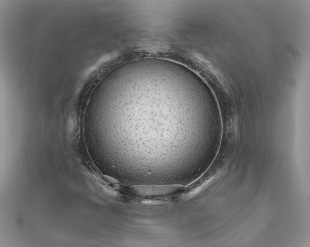 X0000111681398200907311210