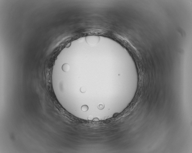 X0000111681399200907311210