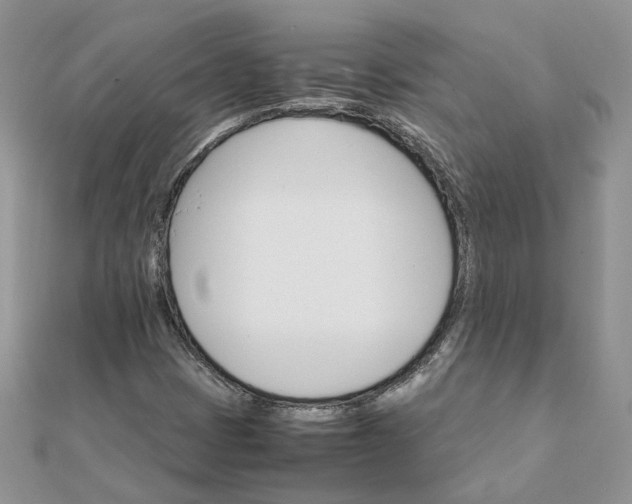 X0000111681401200907311210