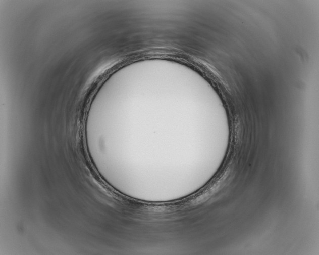 X0000111681402200907311210