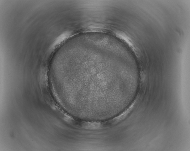 X0000111681403200907311210