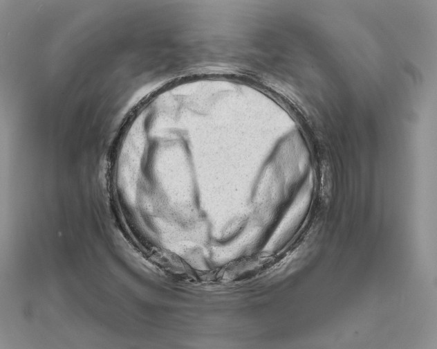 X0000111681404200907311210