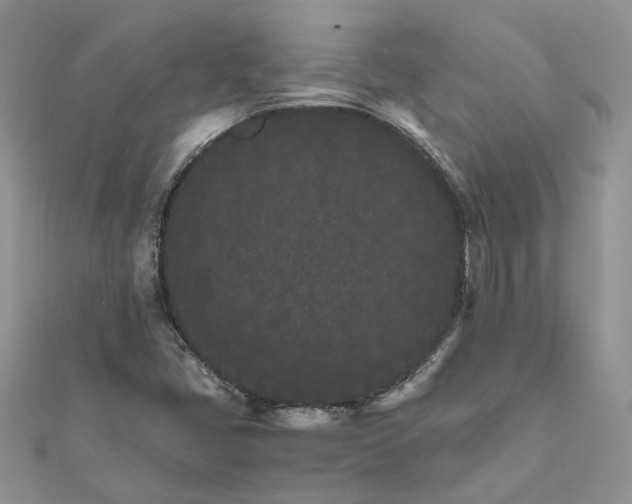 X0000111681405200907311210