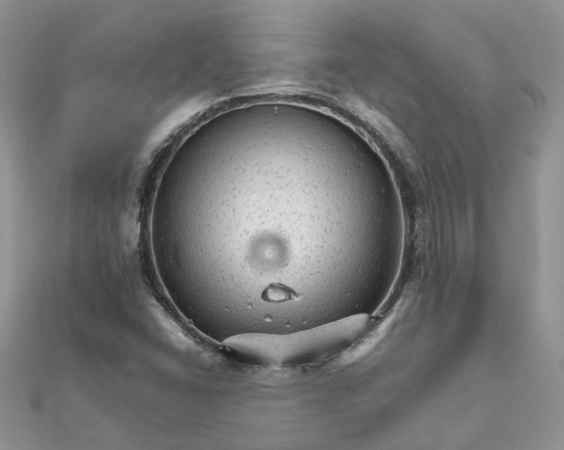 X0000111681406200907311210