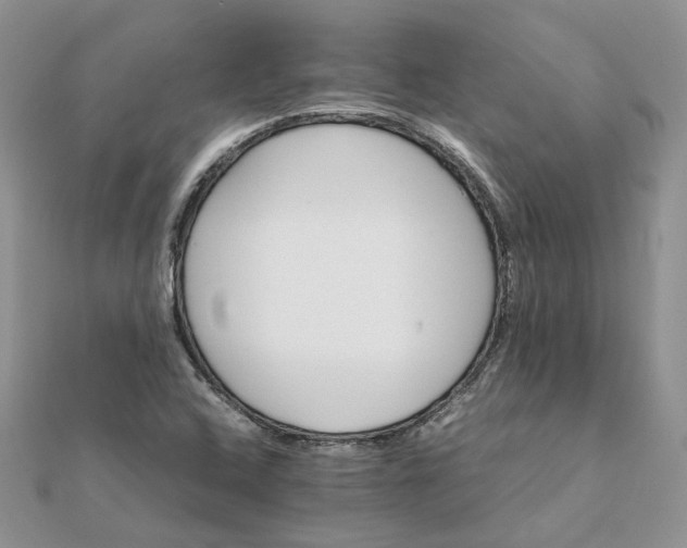 X0000111681408200907311210