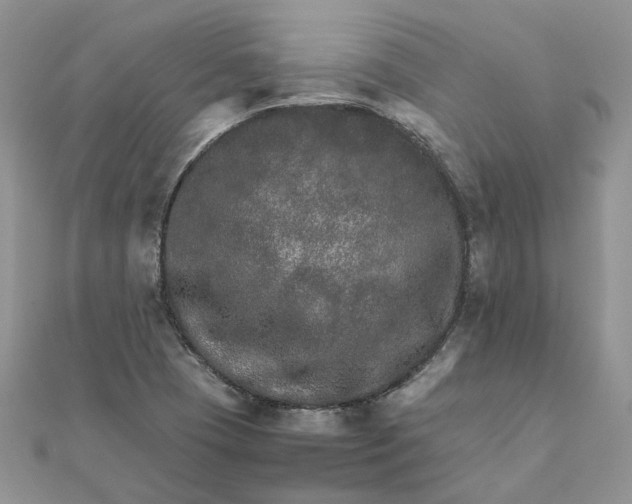 X0000111681409200907311210