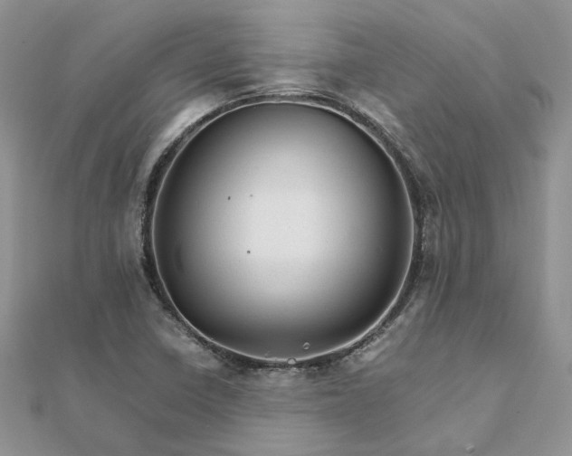 X0000111681410200907311210