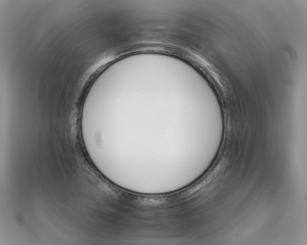 X0000111681411200907311210