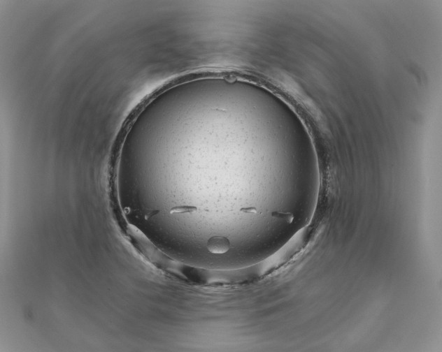 X0000111681412200907311210