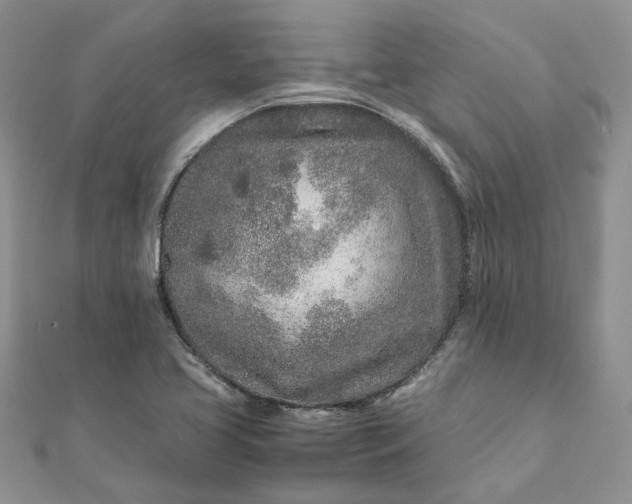 X0000111681413200907311210