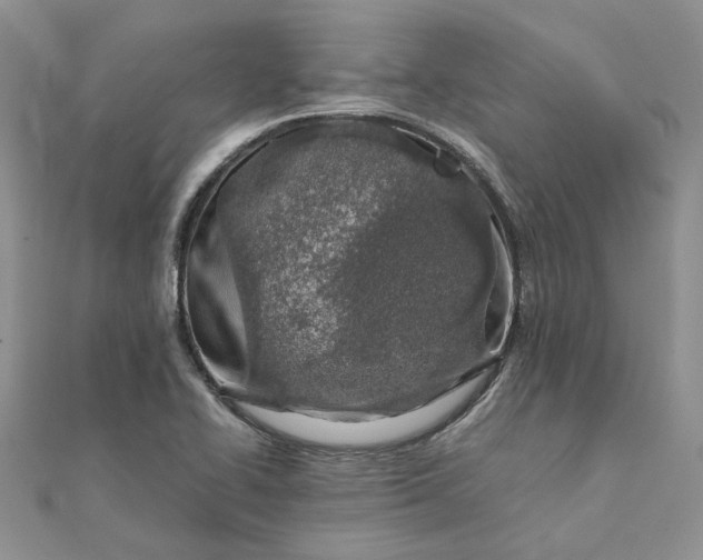 X0000111681414200907311210