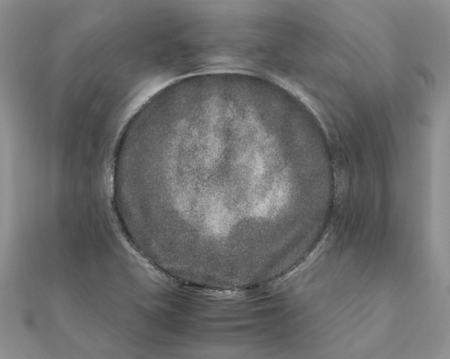 X0000111681415200907311210