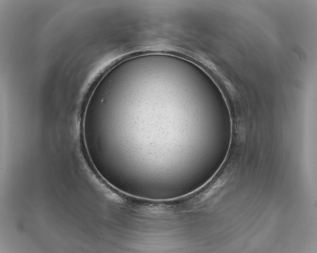 X0000111681416200907311210