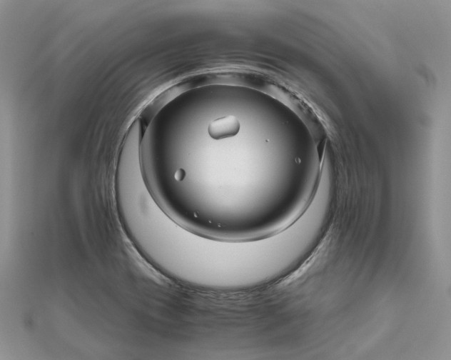 X0000111681417200907311210