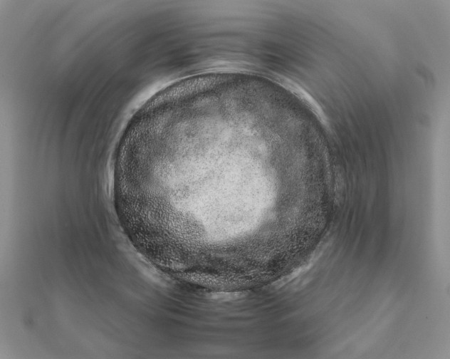 X0000111681419200907311210