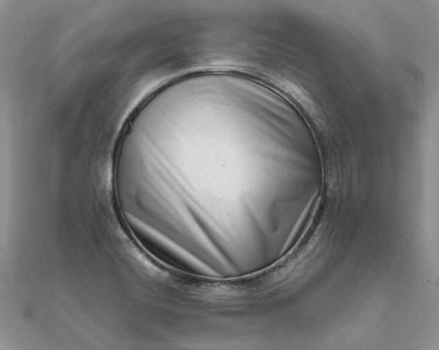 X0000111681420200907311210