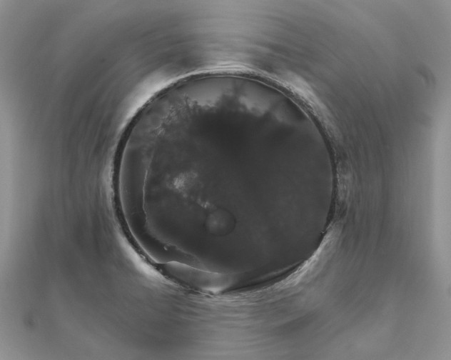 X0000111681422200907311210