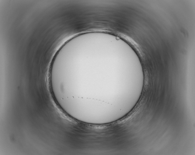 X0000111681423200907311210