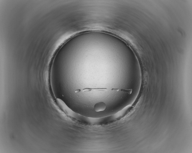 X0000111681424200907311210