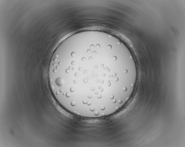 X0000111681425200907311210