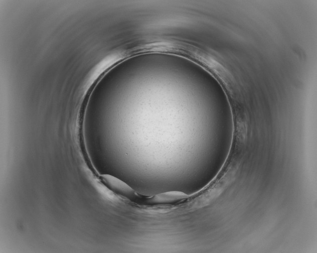 X0000111681426200907311210