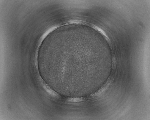 X0000111681427200907311210