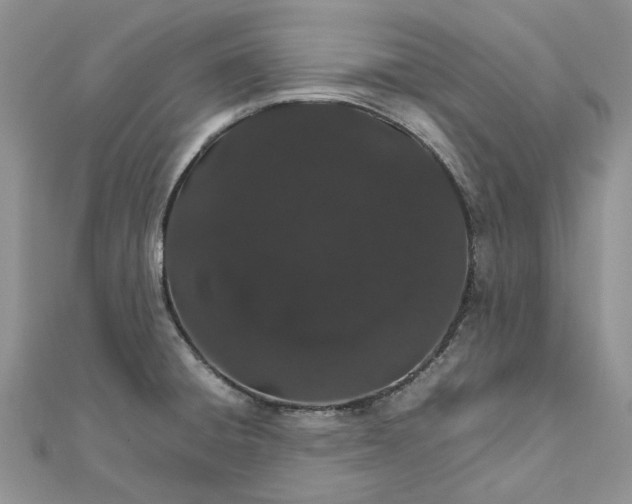 X0000111681428200907311210