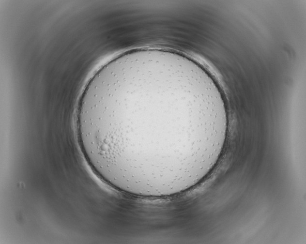 X0000111681429200907311210