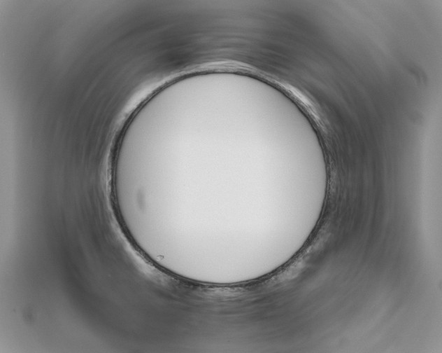 X0000111681430200907311210