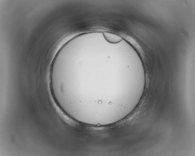 X0000111681431200907311210