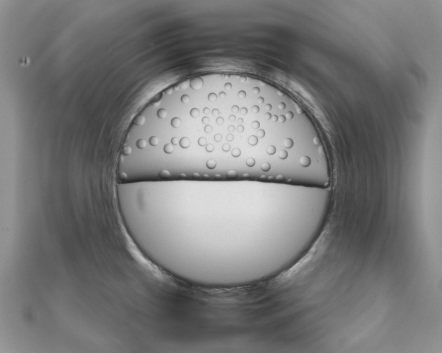 X0000111681433200907311210