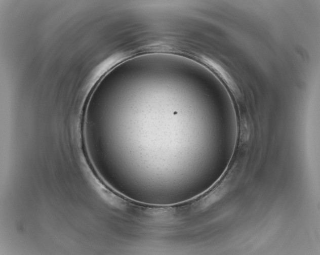 X0000111681434200907311210