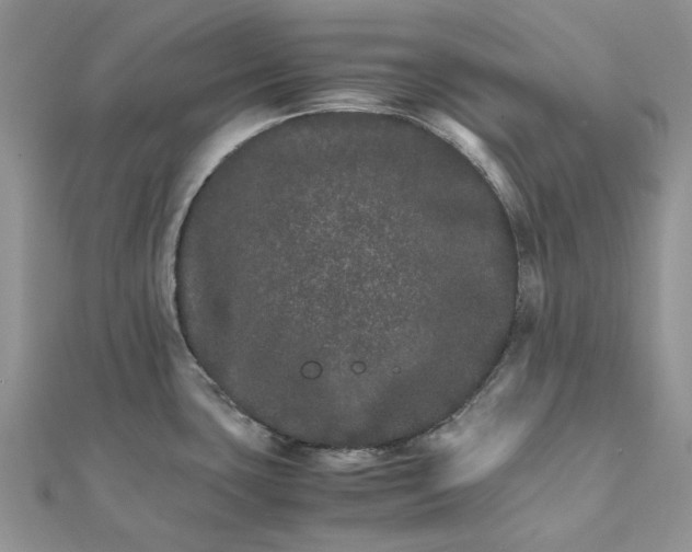 X0000111681435200907311210