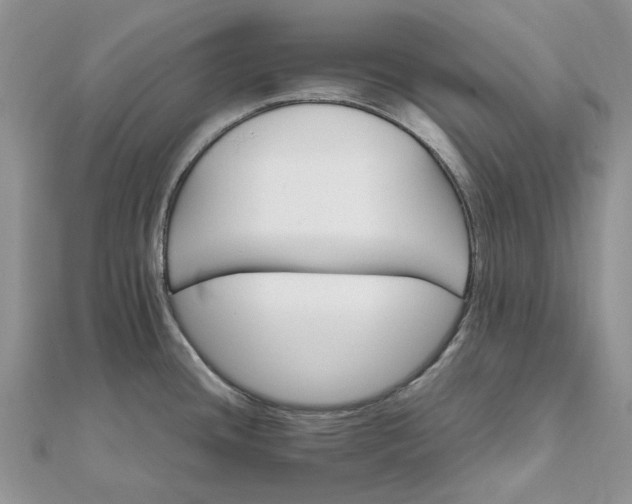 X0000111681436200907311210