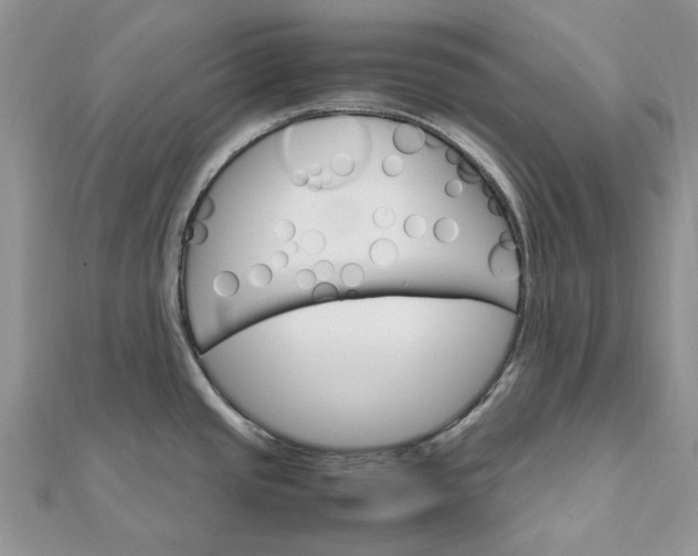 X0000111681437200907311210