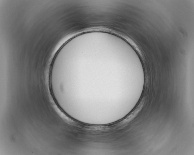 X0000111681438200907311210