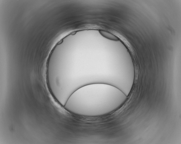 X0000111681439200907311210