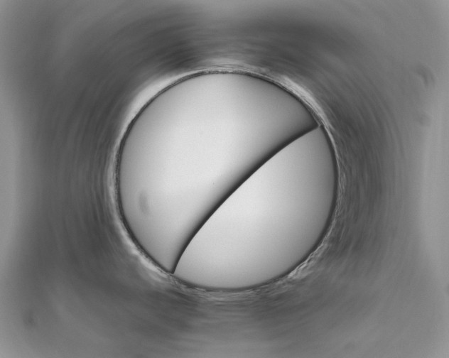 X0000111681440200907311210