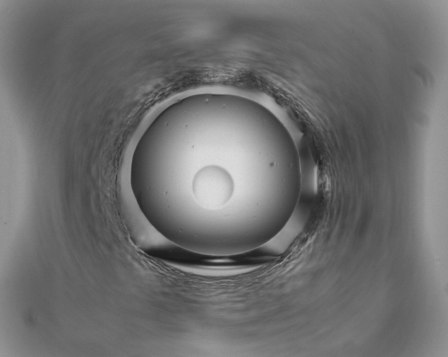 X0000111681441200907311210